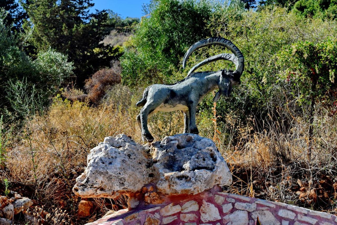 Villa Kyriakos&Villa Ierothea Gavalochori Esterno foto